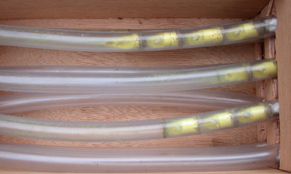 Osmia Rufa observation beehive